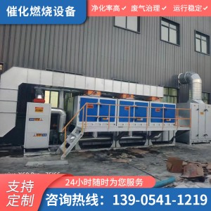 vocs催化燃烧设备 工业有机废气处理设备 蓄热式催化燃烧装置